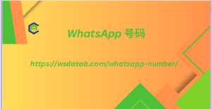 WhatsApp 号码